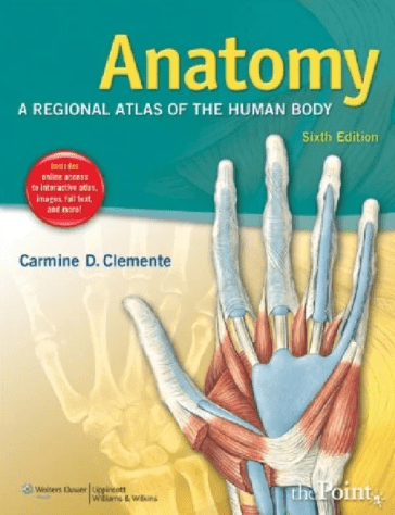 Clemente Anatomy A Regional Atlas of the Human Body 6th Edition by Carmine D Clemente-min