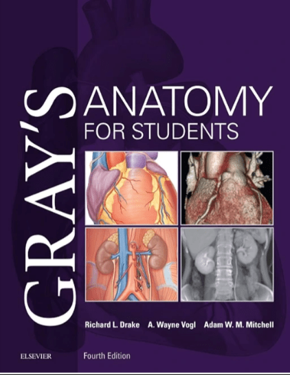Grays Anatomy Latest 42nd Edition min