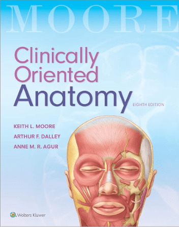 KLM Anatomy Clinically Oriented 8th Edition min
