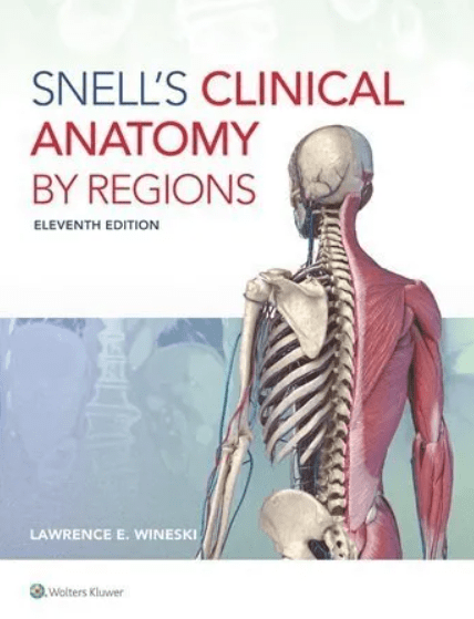 Snells Clinical Anatomy by Regions 11th Edition