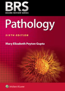BRS Pathology 6th Edition