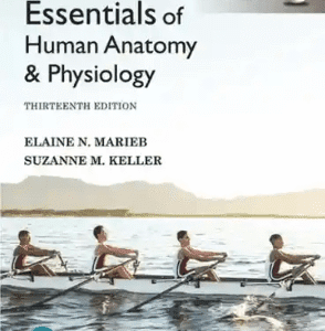 Essentials of Human Anatomy and Physiology 13th Edition by Elaine N Marieb