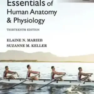 Essentials of Human Anatomy & Physiology 13th Edition